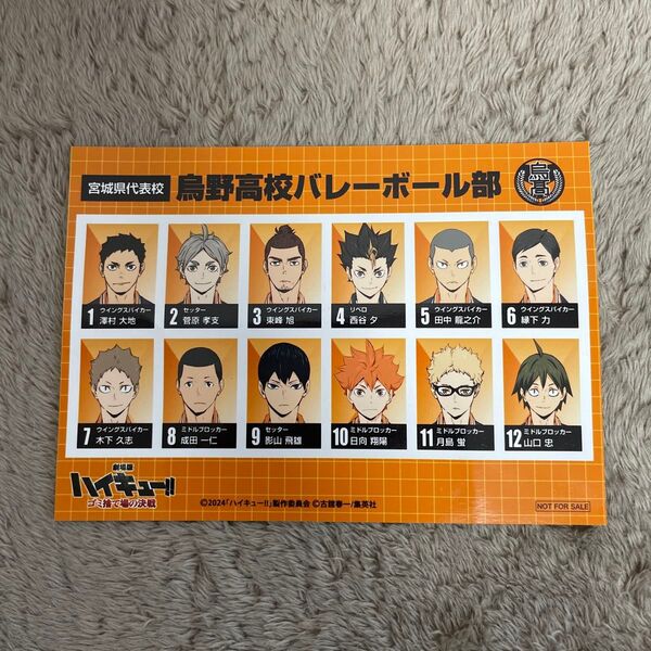 劇場版ハイキュー!! ゴミ捨て場の決戦 選手名鑑風ブロマイド 鳥野高校