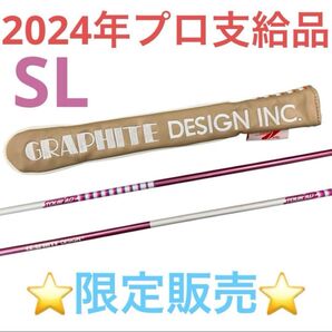 プロ支給品 希少品 TourAD アライメントスティック(SL2本)&カバーセット
