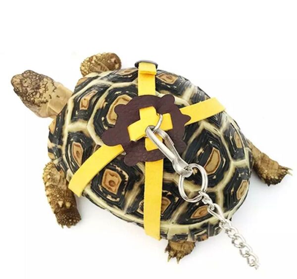 新品☆カメ 両生類 爬虫類 小動物用リード ハーネス