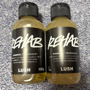 【2本セット】果草力 REHAB リキッドシャンプー ボリュームを抑え汚れをしっかり落としたい髪に、ダメージなどで切れやすい髪に