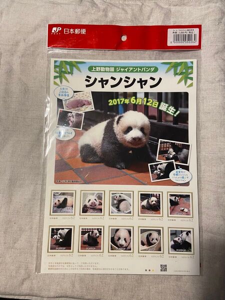 上野動物園 ジャイアントパンダ シャンシャンの成長日記