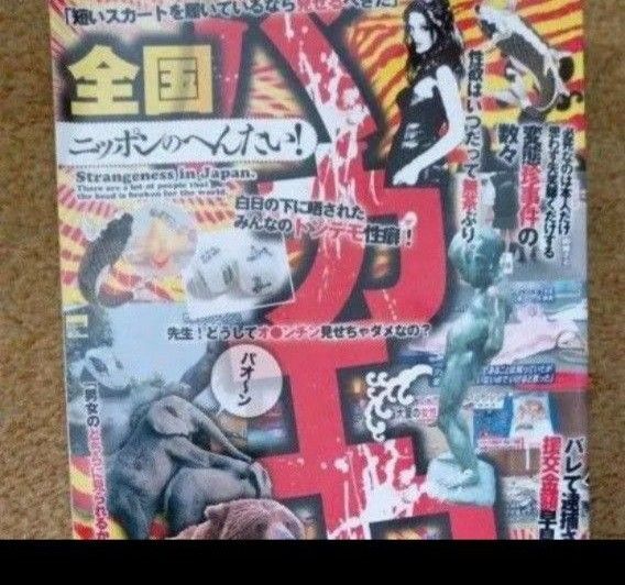 ニッポンのへんたい! 全国バカエロ犯罪/社会文化