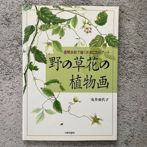 野の草花の植物画 透明水彩で描くボタニカルアート