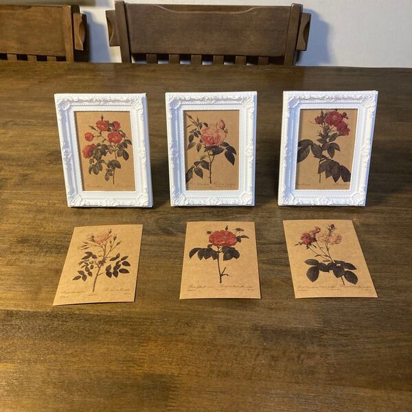 薔薇のイラスト入りフォトフレームセット