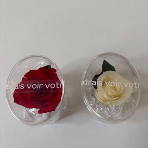 プリザーブドフラワー 〜Franc〜プリン