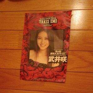 AKB48、武井咲さんの両面ポスター