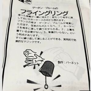 テンヨー ディーラーオリジナル フライングリング