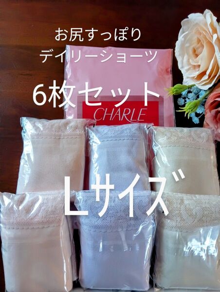 シャルレお尻すっぽりデイリーショーツLサイズ6枚セット入荷したて未開封激安!
