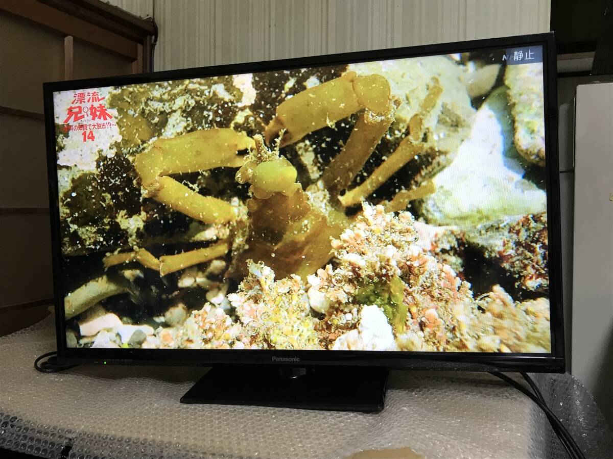 Yahoo!オークション -「th32d320」(液晶 ) (32インチ~)の落札 Yahoo!オークション -「th32d320」(液晶 ) (32インチ~)の落札