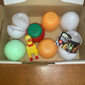 だまることを知らないチキンやろう ガシャポン シャーベット 空き容器