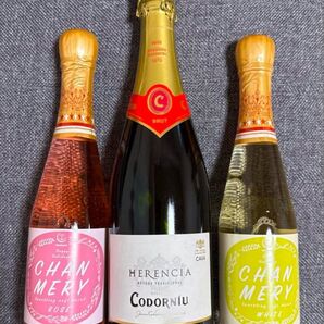 【未開封】CodorniuBRUT CAVAスパークリング発泡ワイン1本+友桝飲料シャンメリー2本