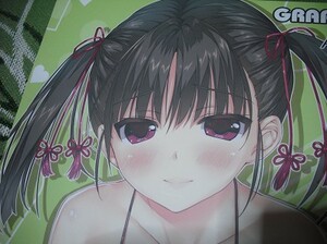 【しずくちゃん★同人誌F】しんたろー 看板娘 イラスト本 なつきちゃん 柚希ちゃん GRAPEFRUIT