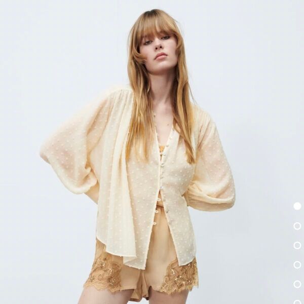 ZARA ザラ ドット柄メッシュブラウス シフォン