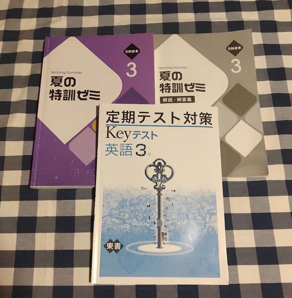 問題集 夏の特訓ゼミ 5科合本3 解説解答集 定期テスト対策 Keyテスト英語3年 授業対策 高校受験対策