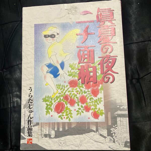 眞夏の夜の二十面相/うらたじゅん (著者)