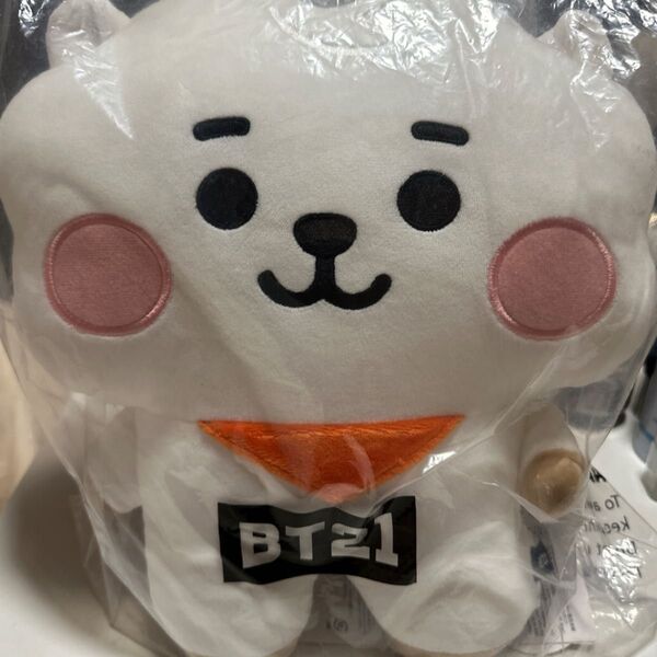 BT21 RJ たっとんぬいぐるみ LINEフレンズ 大きいサイズ