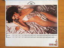 1980年 樹れい子 サントリー HAIG カレンダー 未使用保管品_画像2