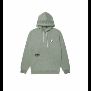 アベイシングエイプ プルオーバー パーカー 美品 3L ライトグリーン