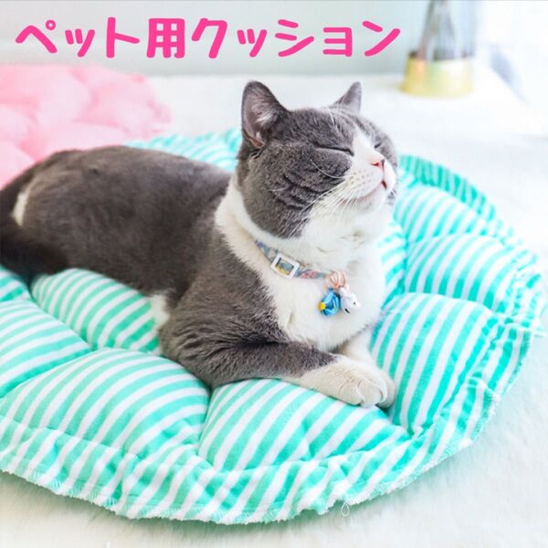 ペット用クッション ペットベッド わんちゃん、ネコちゃん 巾着タイプ 秋冬用 グレードット M