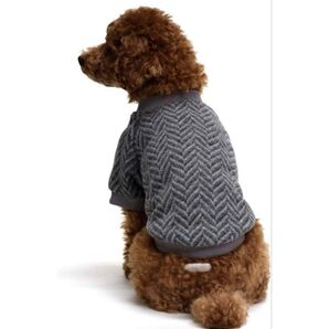 犬服 へリボンニット S グレー ドッグウェア 袖あり