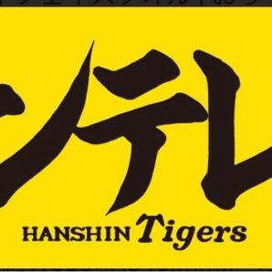 阪神タイガース サンテレビ タオル