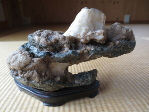 [.]. on. Fuji . Taro stone era stone suiseki st 30jan3