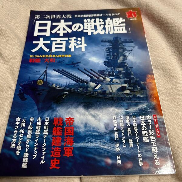 丸別冊 2019年1月号 中身未読品 表紙シワ有り