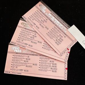値下げ!USJ ユニバーサル・エクスプレス・パス ピンク 正規 本物 EXPRESS PASS ユニバ