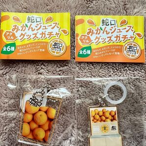 蛇口みかんジュース アクリルグッズガチャ チャーム付きキーホルダー アンブレラマーカー 2個セット