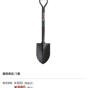 国内バイナリー