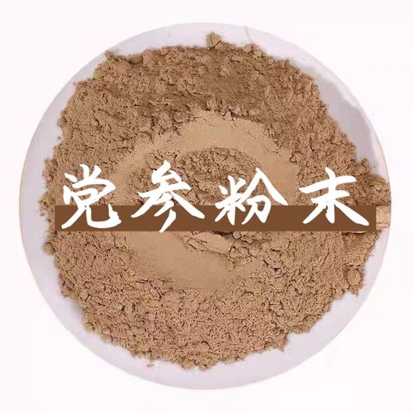 党参粉末100g とうじん トウジン 漢方 原料そのまま 党参