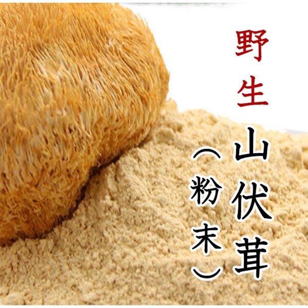 野生山伏茸粉末 ヤマブシタケパウダー100g 山伏茸 猿頭きのこ ほうとうくう野生山伏茸粉末 山伏茸 猿頭きのこ ほうとうくう