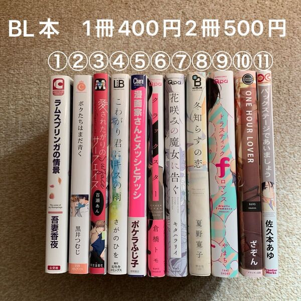 BL本 1冊400円 2冊500円