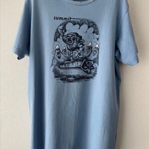 パタゴニア ナッツ&ピトン オーガニックコットンTEE