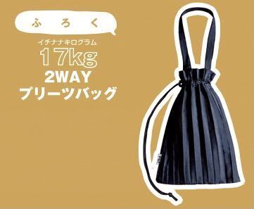 【nicola ニコラ 2022年2月号付録】17kg 2WAY プリーツバッグ(未開封品)