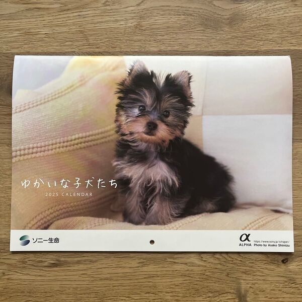 ソニー生命 ゆかいな子犬たち 壁掛けカレンダー2025