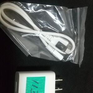 USBアダプター(5V 2A)とUSBケーブル(Type A-micro B)及びアダプター(micro BをType Cへ)