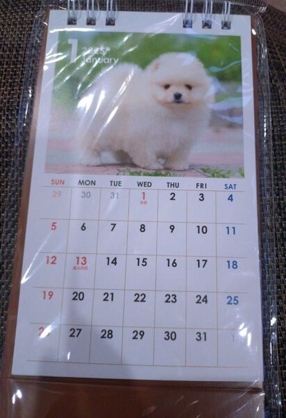 犬の写真 卓上カレンダー 2025年