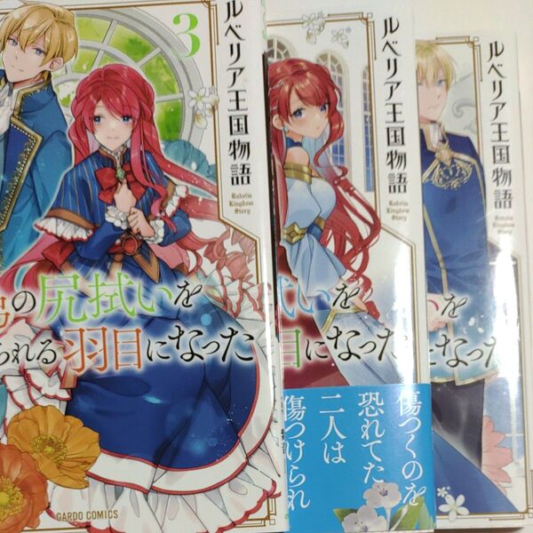 ルベリア王国物語 1~3巻セット マンガ