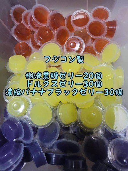 フジコン製 フジコン製 昆虫ゼリー3種 計80個③ 樹液黒糖ゼリー ドルクスゼリー 濃縮バナナブラックゼリー オオクワ クワガタ カブトムシ