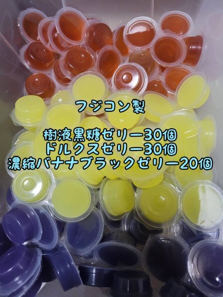 フジコン製 フジコン製 昆虫ゼリー3種 計80個① 樹液黒糖ゼリー ドルクスゼリー 濃縮バナナブラックゼリー オオクワ クワガタ カブトムシ