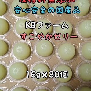 KBファーム すこやかゼリー 国産ゼリー16g 80個 カブトムシ クワガタ 昆虫