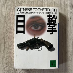 目撃 ポール・リンゼイ 本 小説 推理 海外 外国 心理 犯罪小説 FBI 捜査
