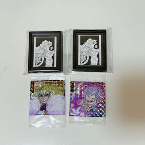 HUNTER×HUNTER ゼノ シルバ