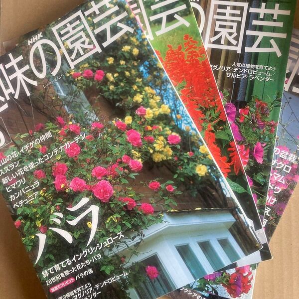 4冊セットNHK趣味の園芸2000年5月号 8月号 9月号 10月号