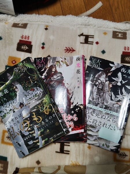 BL 小説 騎士シリーズ全3巻 著/夜光花