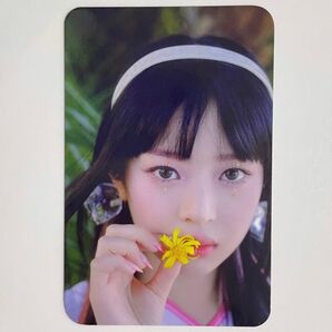 NewJeans Get Up MusicKorea 特典 トレカ ハニ ヘイン ヘリン ダニエル ミンジ