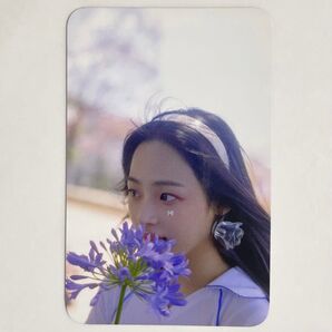 NewJeans Get Up MusicKorea 特典 トレカ ハニ ヘイン ヘリン ダニエル ミンジ