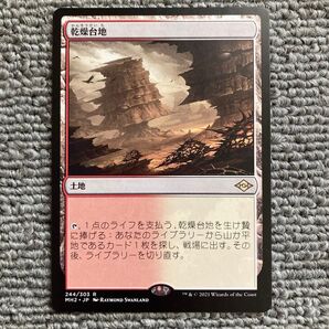 乾燥台地/Arid Mesa