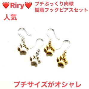 人気 プチサイズぷっくり肉球 樹脂フックピアス2ペアセット